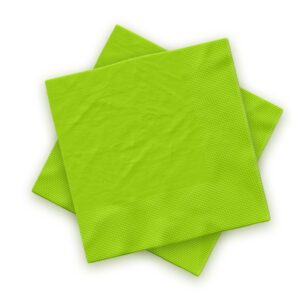 Plain Light Green Disposable 2 Ply Paper Napkins Serviettes Occasion Party Tableware 1