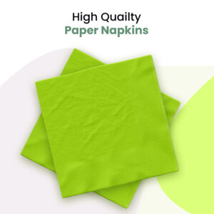 Plain Light Green Disposable 2 Ply Paper Napkins Serviettes Occasion Party Tableware 2