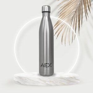 Water Bottles Double Wall Grey/Sliver
