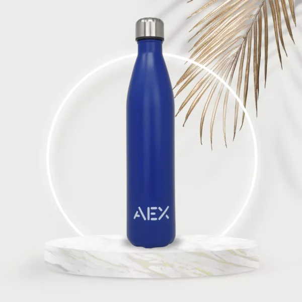 AEX Blue Insulated Stainless Steel Water Bottle 500ml 1000ml