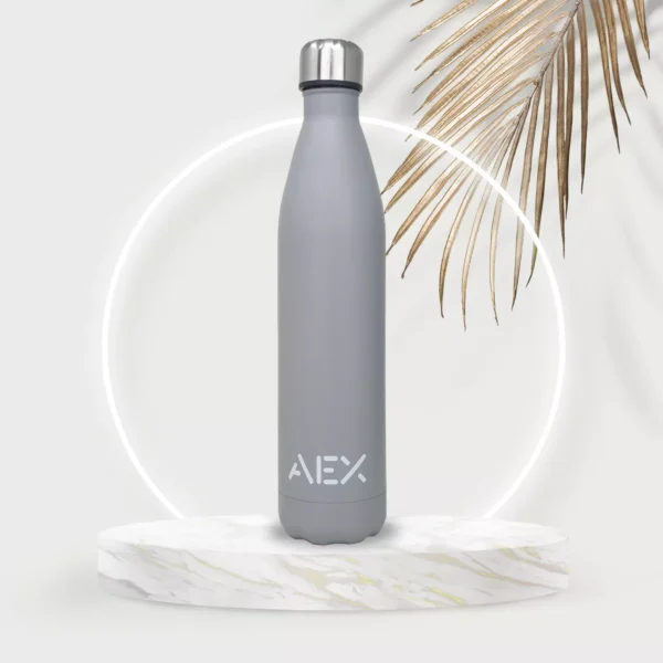 AEX Insulated Stainless Steel Water Bottle 500ml 1000ml (Silver/Grey)