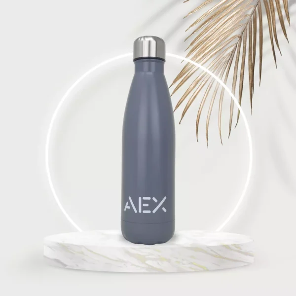 AEX Insulated Stainless Steel Water Bottle 500ml 1000ml (Silver/Grey)